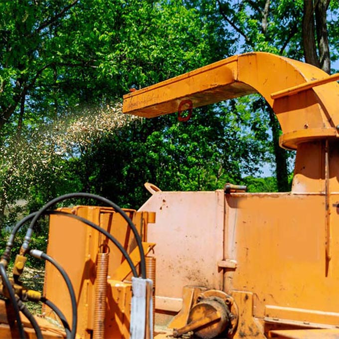 Rangel & Son Tree Service Arborist Services